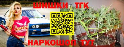 дмт Гатчина
