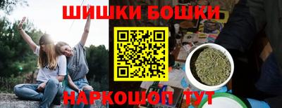 дмт Гатчина