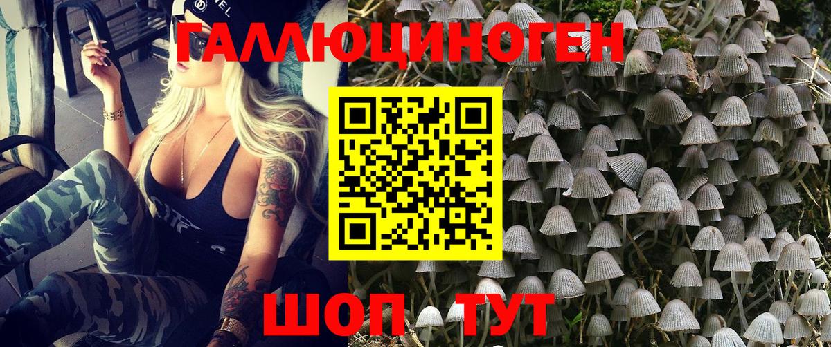 Волжск  закладка  Вход с VPN  Псилоцибиновые грибы MAGIC MUSHROOMS  Галлюциногенные грибы мицелий 