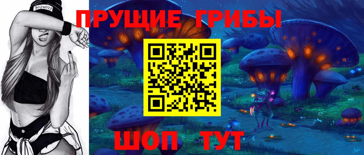 ГАШ Волжск